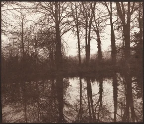 Winterbäume, die sich in einem Teich spiegeln