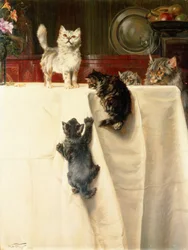 Katzen