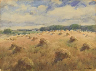 Weizenfelder in Maryland