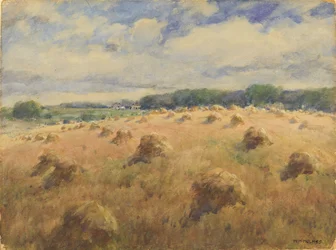 Weizenfelder in Maryland, n.d.