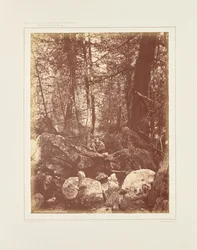 Der Pfad im Wald, Gallatin-Schlucht