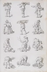 Illustration aus 