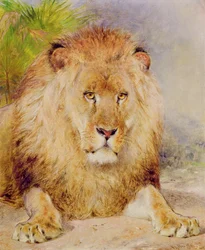 Löwe