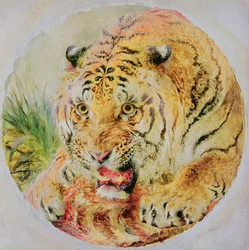 Tigerkopf