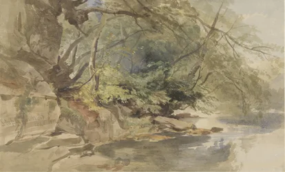 Ansicht in Stapleton Wood, bei Bristol