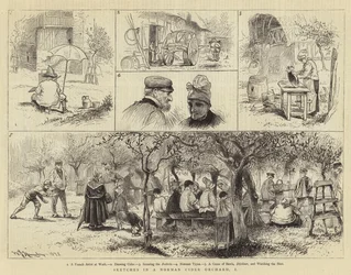 Skizzen in einem normannischen Apfelwein-Orchard, I