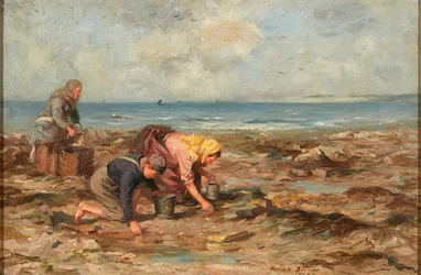 Muschelsammler