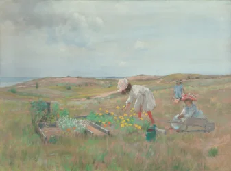 Blumen sammeln