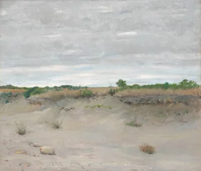 Windgepeitschter Sand