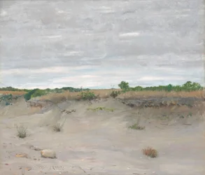 Vom Wind verwehte Sanddünen