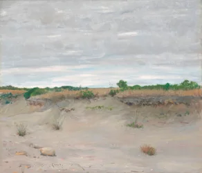 Windverwehter Sandstrand