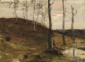 Hügel mit Bäumen, 1872-1878