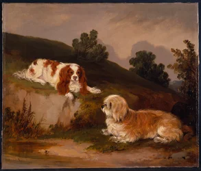 Landschaft mit Spaniel und Terrier