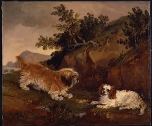 Landschaft mit Spaniel und Terrier