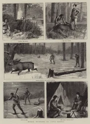 Elchjagd in Nova Scotia