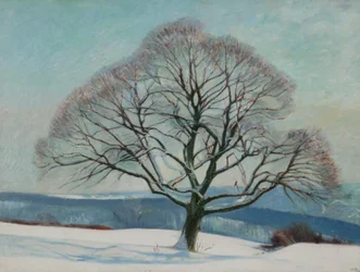 Baum im Winter