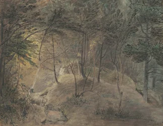Die Aussicht vom Quellhaus in Echo, ca. 1808