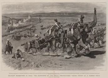 Militärmanöver in Indien, die Elefanten der schweren Feldbatterie erschrecken vor einem vorbeifahrenden Zug