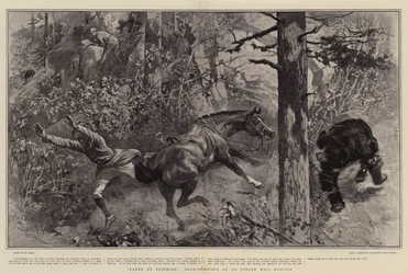 Überrascht, Bärenjagd an einer indischen Bergstation