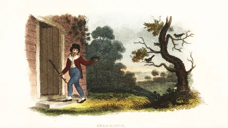 William Smellie, als Junge, nimmt ein Nest mit jungen Spatzen von ihren Eltern für ein Experiment