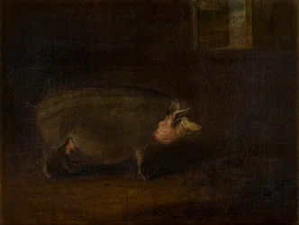 Ein Schwein im Stall