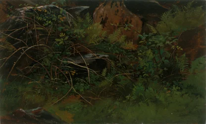 Studie aus der Natur