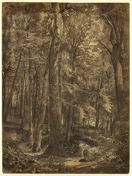 Im Wald, Studie für Gemälde, Juni-Wälder, New York Historical Society, ausgeliehen von der New York Public Library, 1864