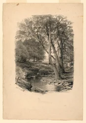 Teich im Wald