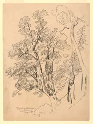 Studie von Laub, Trachselwald, Bern, Schweiz