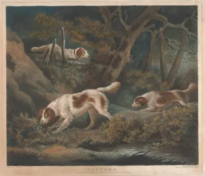 [Schießen]: Setter
