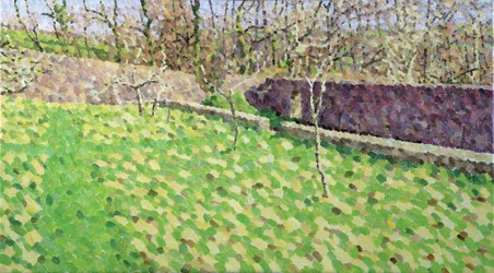 Obstgarten in der Wintersonne