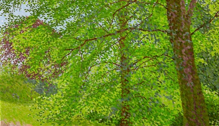 Sommermorgen, 2020