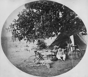Ein heißer Tag im indischen Dschungel, ca. 1860