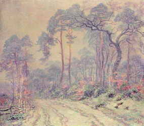 Der Weg durch den Wald