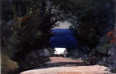 Straße in Bermuda, ca. 1899-1901
