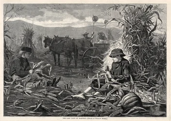 Die letzten Tage der Ernte