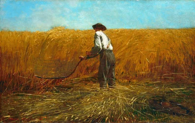 Der Veteran auf einem neuen Feld