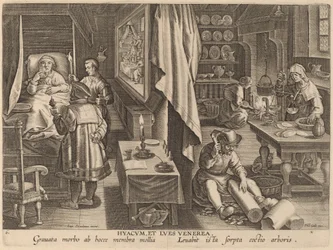 Hyacum und venerische Infektion