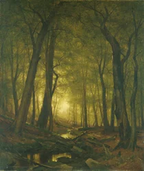 Abend im Wald
