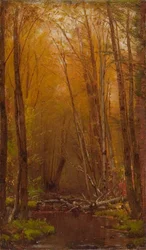 Die Birken der Catskills