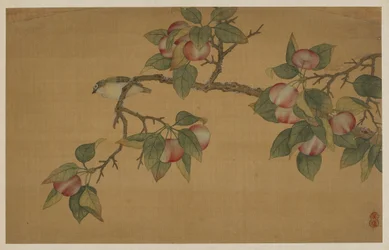 Vogel und Frucht