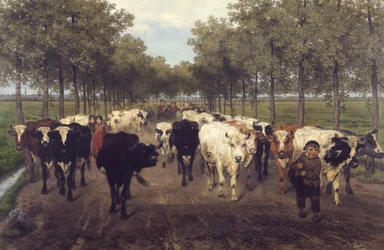 Die Meersstraat in Gent