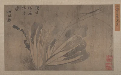 Kohl und Insekten