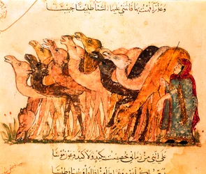 Eine Gruppe von Kamelen und der Kamelhirte, aus "Maqamat"