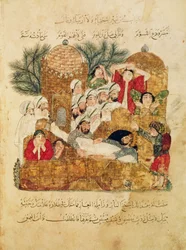Arabische Handschrift 5847, fol. 29: Bestattung eines Pestopfers, aus „Al-Maqamat“ (Die Zusammenkünfte) von Al-Hariri, um 1240
