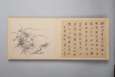 Verfeinerte Eleganz in den vier Jahreszeiten Shiji seiga, Album mit Blumenmalereien, 1844