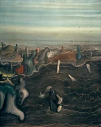 Der dunkle Garten
