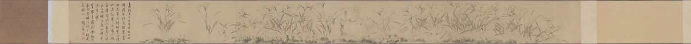 Narziss-Rolle