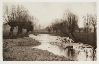 Ein Seitenarm der Lea (eaux stagnantes de la rivière Lea)
