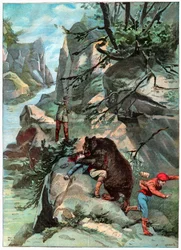 Angriff des Bären